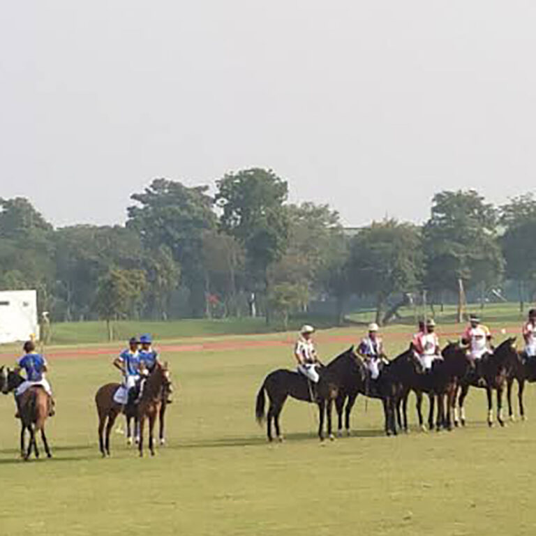 Sonipat's only POLO CLUB
